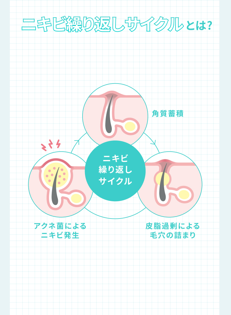 �j�L�r�J��Ԃ��T�C�N���Ƃ́H�@�p���~�ρ@�A�N�l�ۂɂ��j�L�r�����@�玉�ߏ�ɂ��ь��̋l�܂�